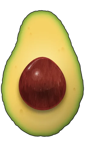 Realistic Half Avocado Clipart with Smooth Gradients and Rich Seed Detail