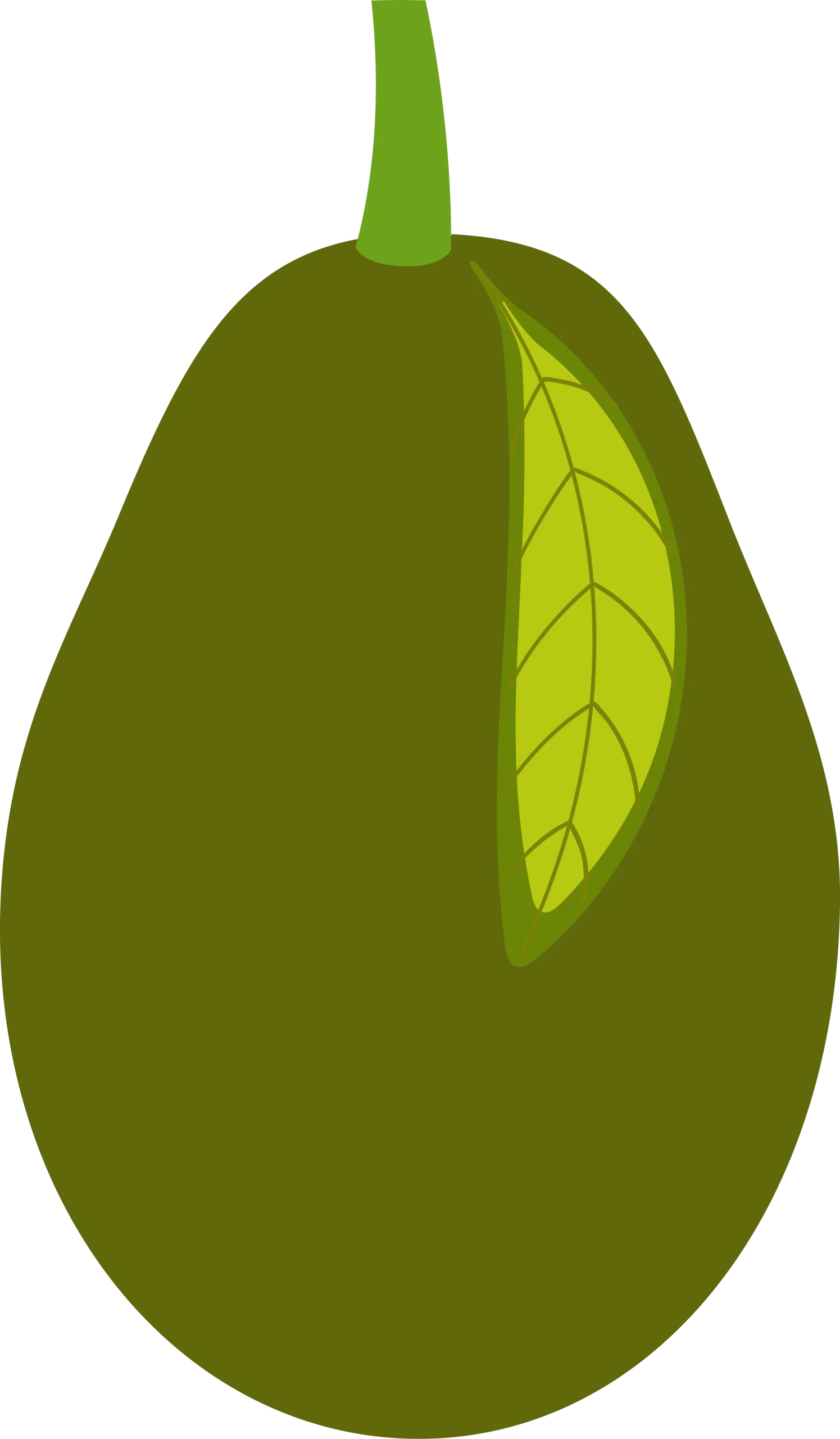 Simplistic Green Avocado Clipart Illustration with Distinctive Leaf Silhouette
