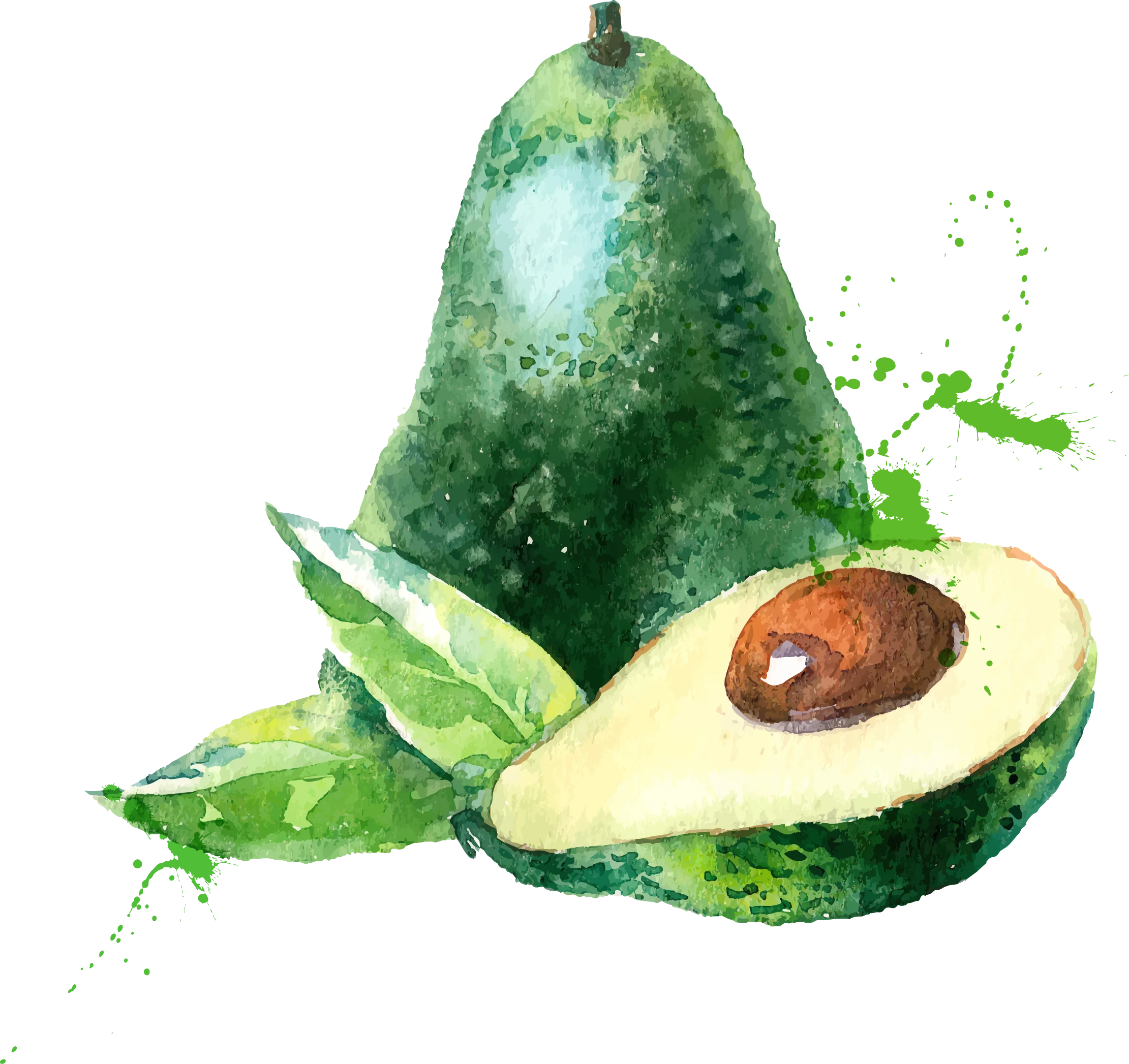 Watercolor Avocado Clipart: Artistic Illustration of Fresh Green Produce