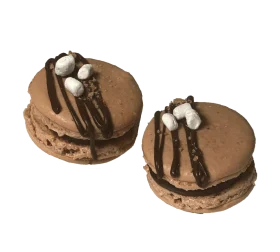 Delectable Chocolate S'mores Dessert Clipart - Gourmet Marshmallow Treat Illustration