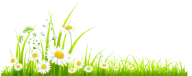 Cheerful Springtime Meadow Clipart with Daisies and Delicate Green Grass