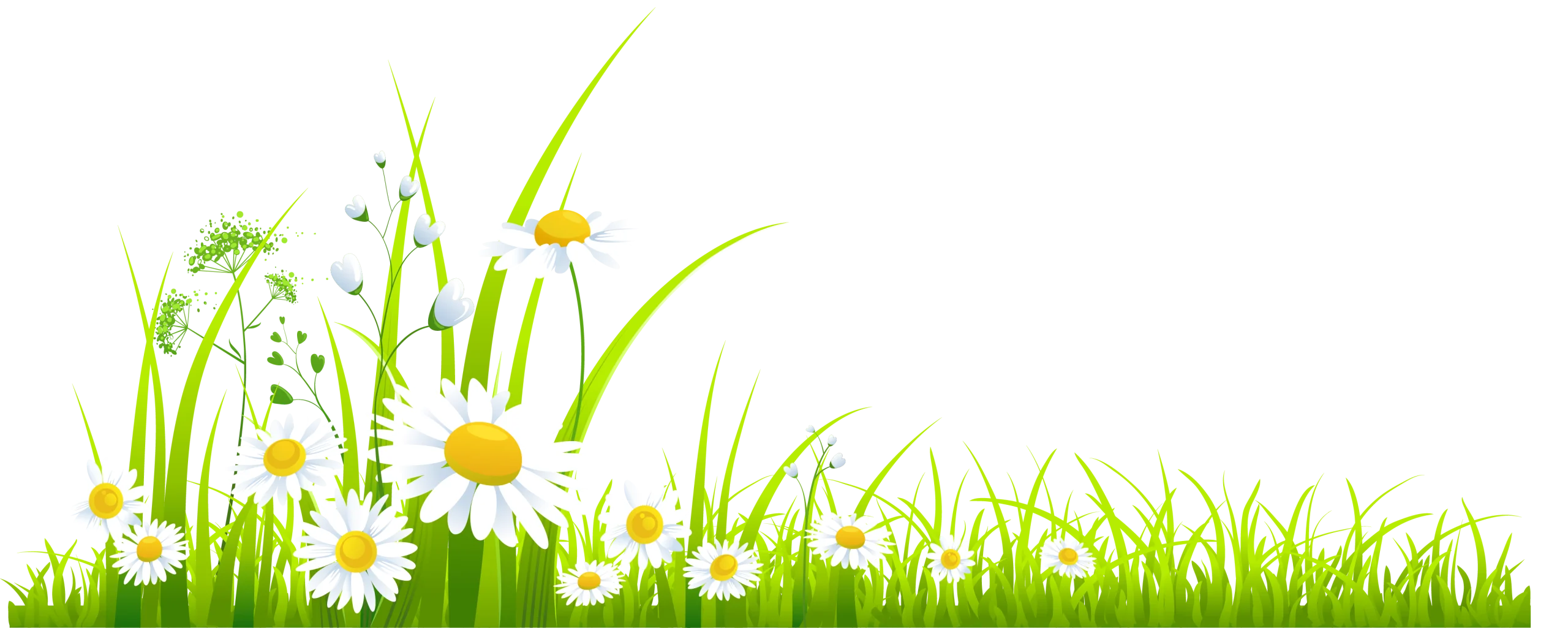 Cheerful Springtime Meadow Clipart with Daisies and Delicate Green Grass