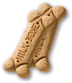 Delightful Canine Treat Bone-Shaped Biscuit Clipart Design