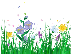 Delightful Springtime Meadow Wildflowers and Grass Clipart Illustration
