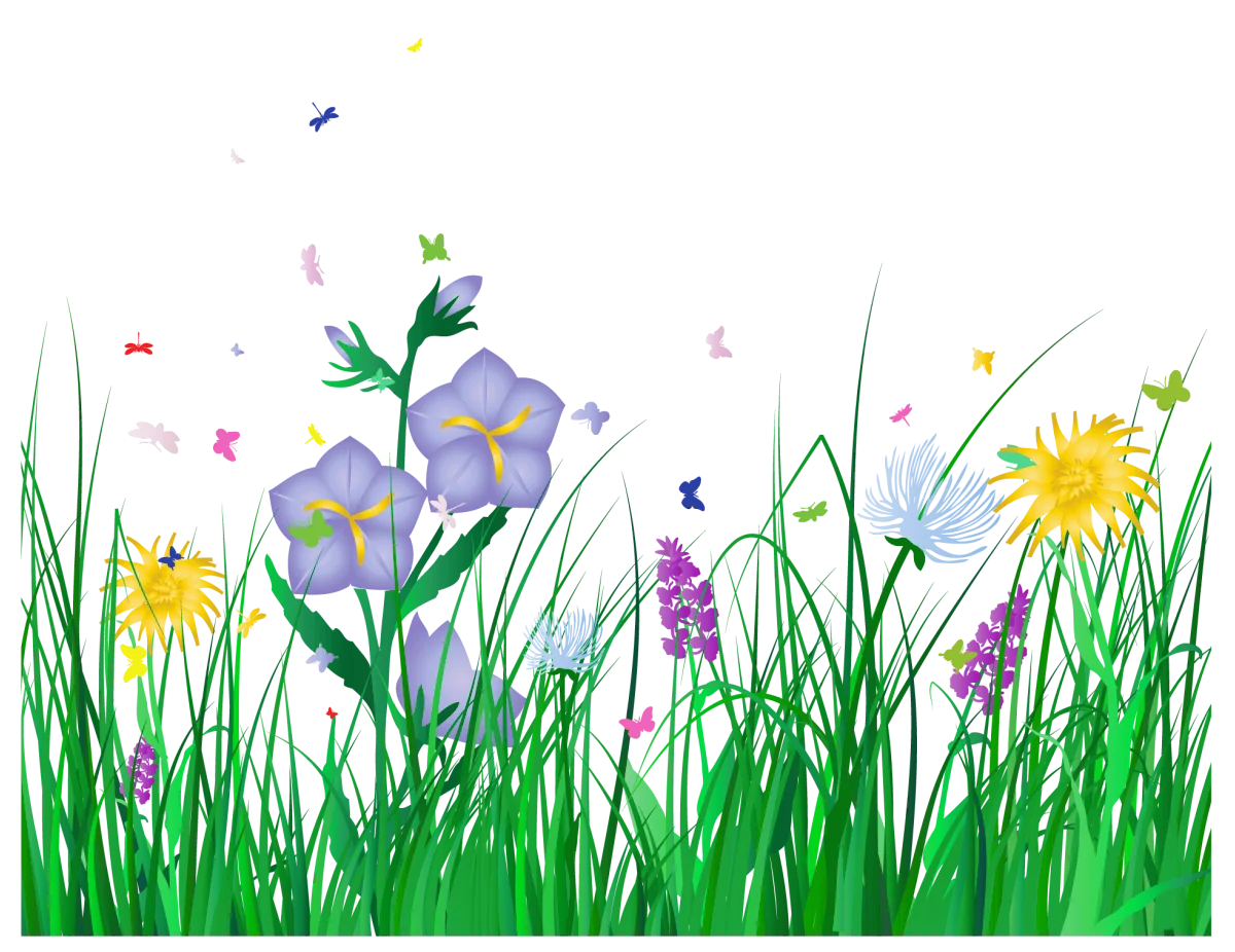 Delightful Springtime Meadow Wildflowers and Grass Clipart Illustration