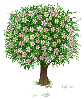 Lush Flowering Tree Clipart Celebrating the Delicate Blossoms of Springtime