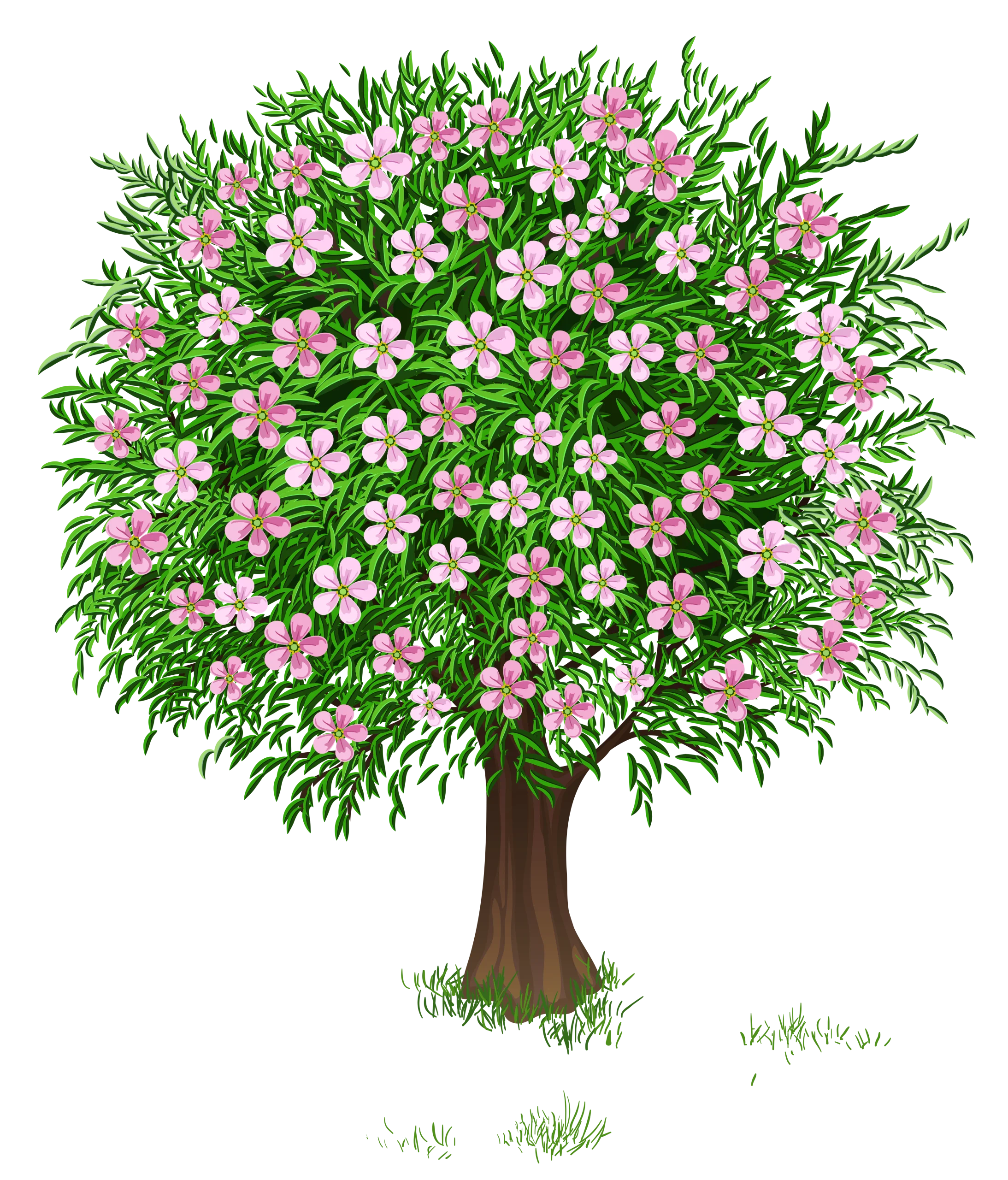 Lush Flowering Tree Clipart Celebrating the Delicate Blossoms of Springtime