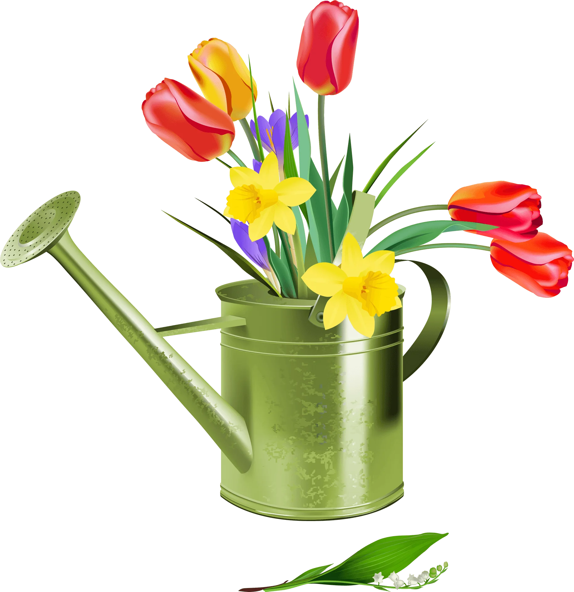 Spring Blossoms in Green Watering Can: A Cheerful Gardening Clipart Composition
