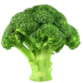 Fresh Emerald Broccoli Clipart: Crisp Vegetable Illustration with Lush Green Texture