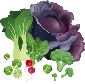 Fresh Garden Harvest Clipart: A Colorful Ensemble of Nutritious Vegetables