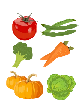 Fresh Garden Harvest Clipart: Colorful Vegetable Illustration Collection