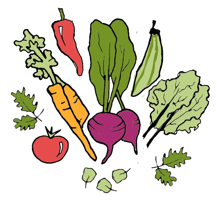 Fresh Garden Harvest Clipart: Colorful Vegetables Illustration with Organic Charm
