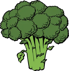 Fresh Green Broccoli Clipart Illustration - Nutritious Vegetable Sketch