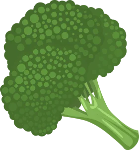 Fresh Green Broccoli Clipart Illustration with Detailed Texture and Form