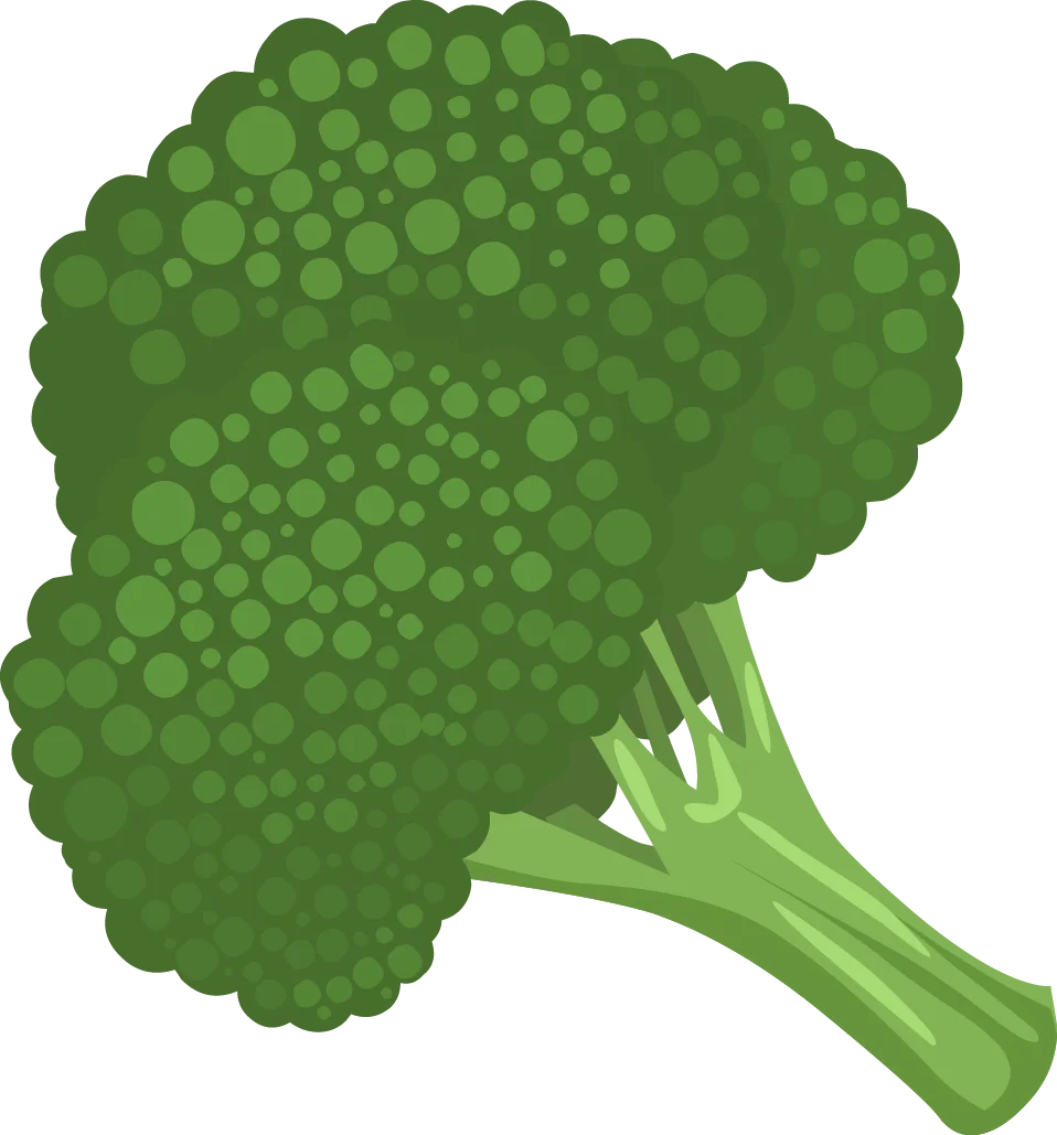 Fresh Green Broccoli Clipart Illustration with Detailed Texture and Form
