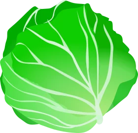 Fresh Green Lettuce Head Clipart Illustration with Detailed Leaf Texture
