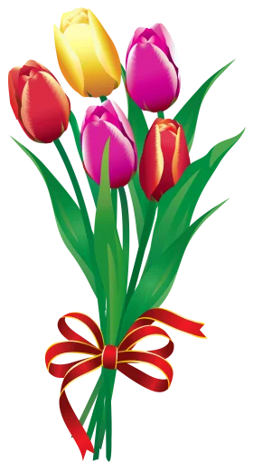 Cheerful Spring Tulips Bouquet with Ribbon Clipart: A Colorful Floral Arrangement