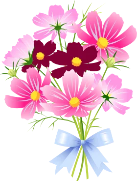 Delightful Cosmos Flowers Bouquet Clipart with Soft Pink and Burgundy Petals