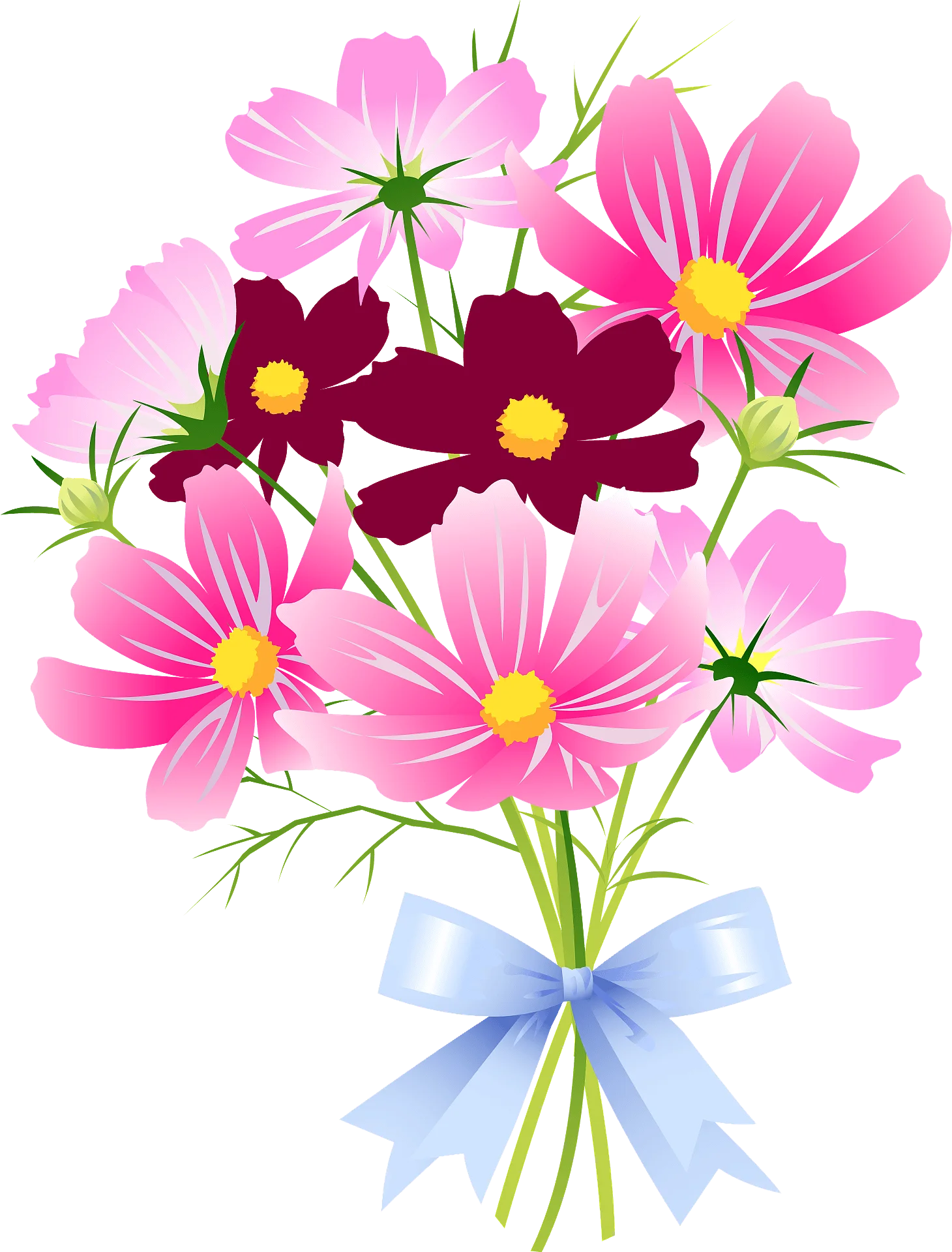 Delightful Cosmos Flowers Bouquet Clipart with Soft Pink and Burgundy Petals