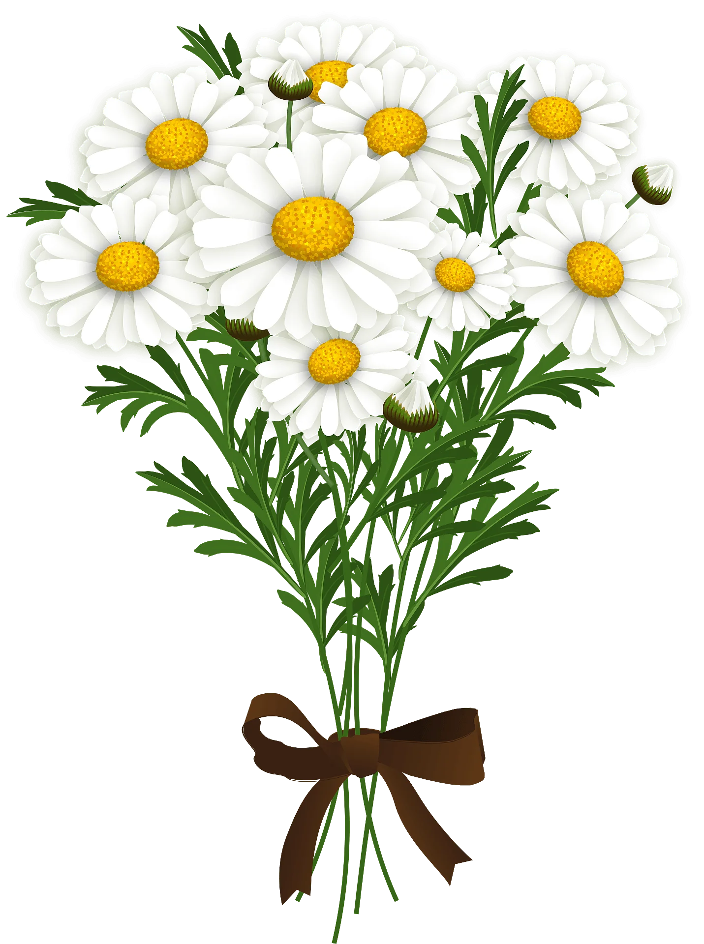 Elegant Chamomile Bouquet Clipart with Delicate White Petals and Sunny Centers