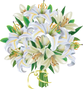 Elegant White Lily Clipart Bouquet with Delicate Green Foliage and Golden Accents