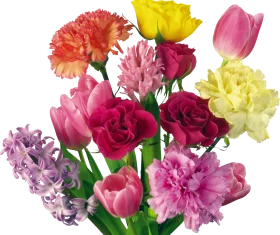 Enchanting Spring Blossoms Clipart: A Kaleidoscope of Floral Elegance