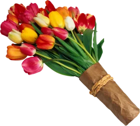 Exquisite Tulip Bouquet Clipart with Warm-Toned Blossoms and Rustic Wrap