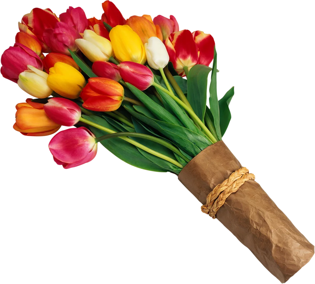 Exquisite Tulip Bouquet Clipart with Warm-Toned Blossoms and Rustic Wrap