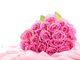 Romantic Pink Rose Bouquet Clipart: Soft Elegance in Delicate Blossoms