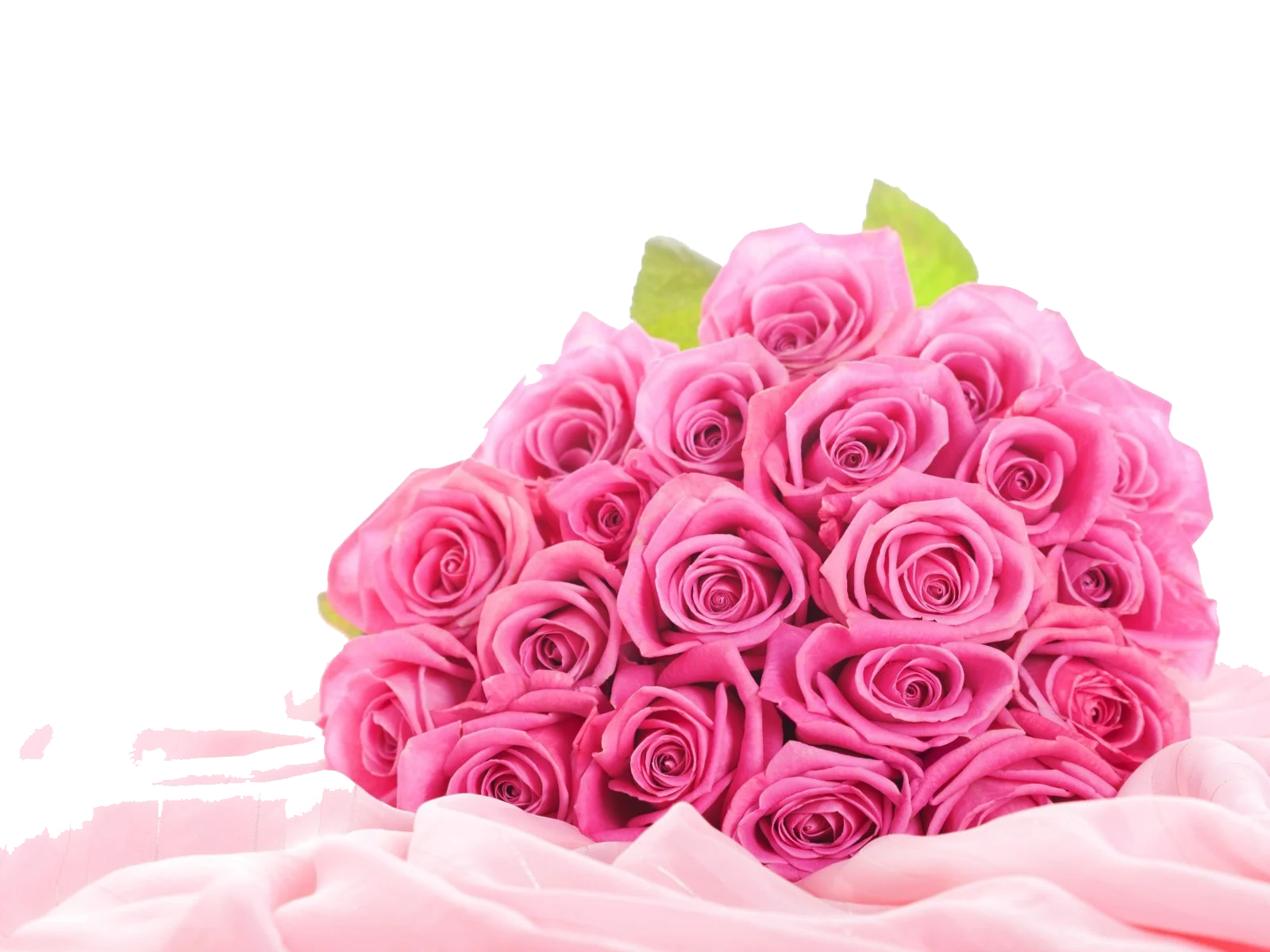 Romantic Pink Rose Bouquet Clipart: Soft Elegance in Delicate Blossoms