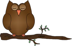 Sleepy Brown Owl Perched on Rustic Branch - Adorable Woodland Clipart Design