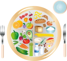 Comprehensive Healthy Meal Plate Clipart Illustration with Diverse Food Groups