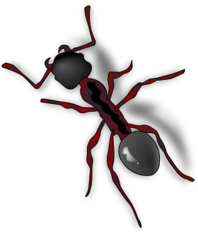 Detailed Black and Red Vector Ant Clipart with Segmented Body Design
