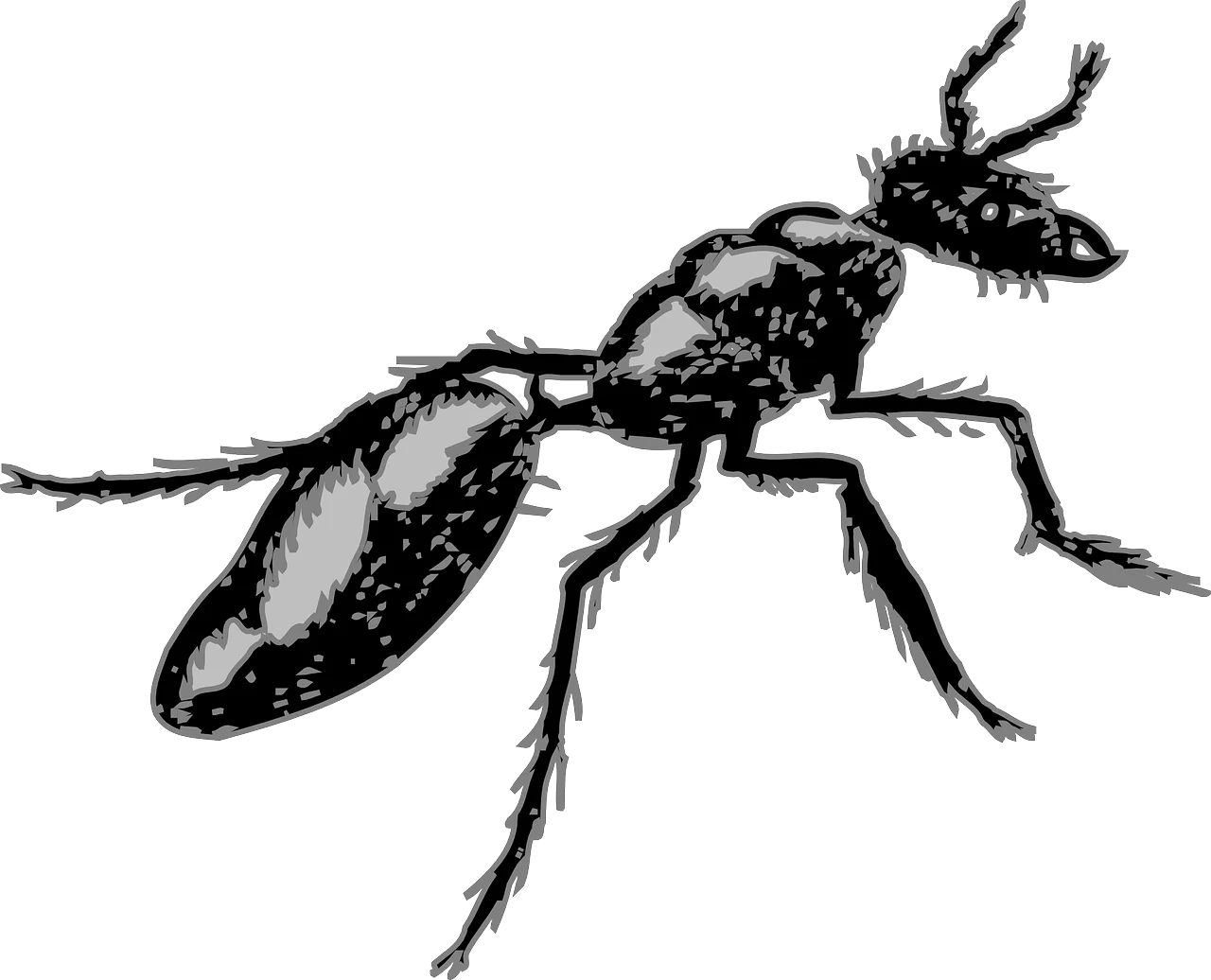 Detailed Black and White Ant Clipart Illustration with Intricate Anatomical Features