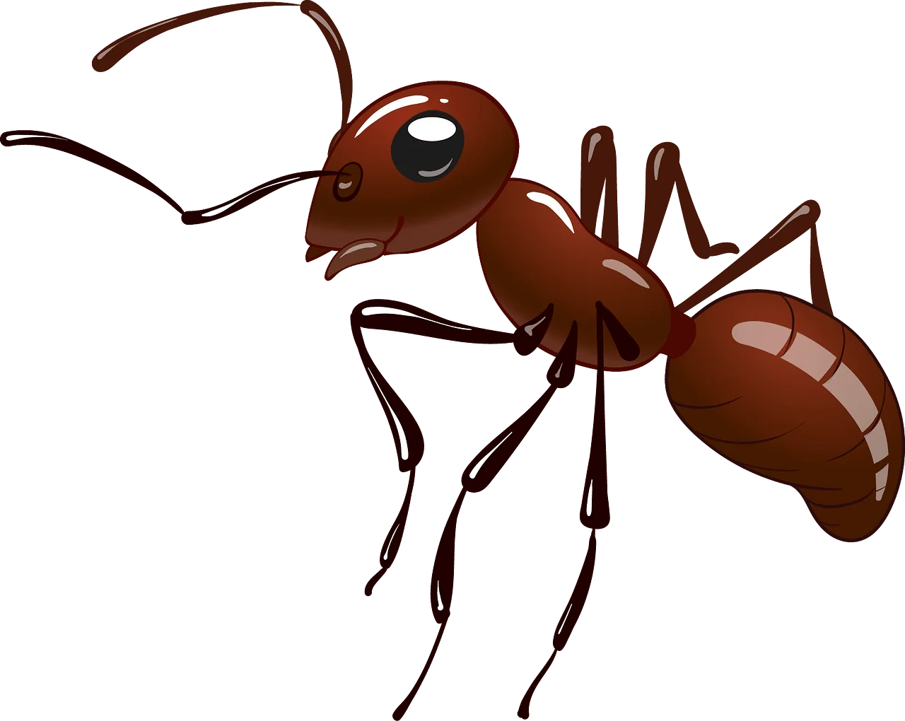 Detailed Brown Ant Clipart Illustration with Stylized Realistic Anatomy