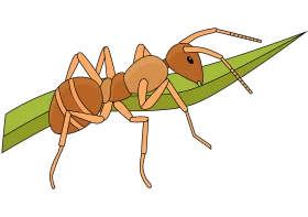 Detailed Orange Ant Clipart Illustration on Leaf with Naturalistic Design