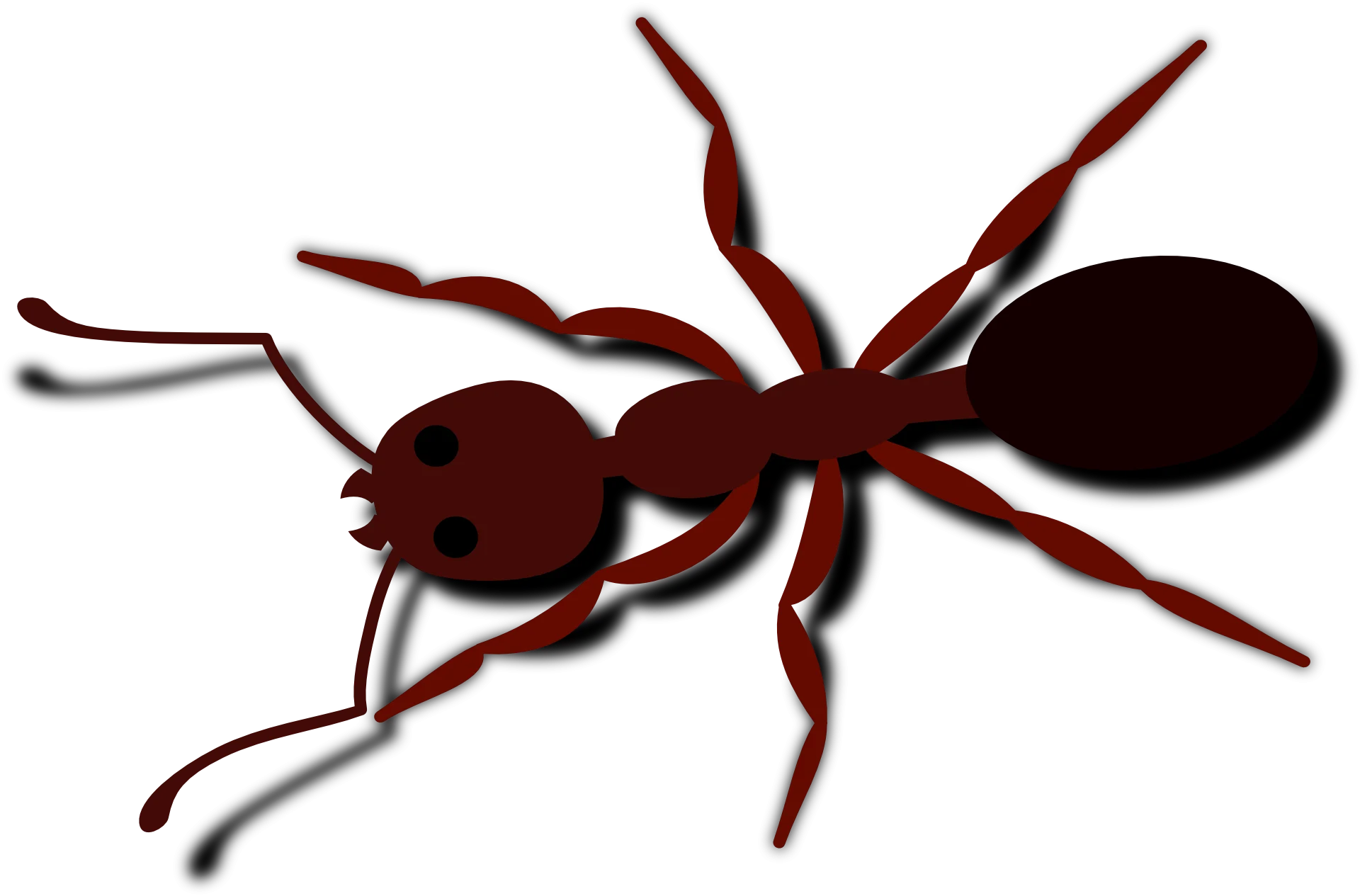 Detailed Red and Black Ant Clipart Illustration with Sharp Geometric Design