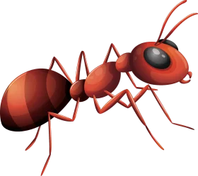 Detailed Red Fire Ant Clipart Illustration with Realistic Anatomical Features