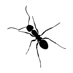 Minimalist Black Silhouette of an Ant Clipart Design for Digital Projects