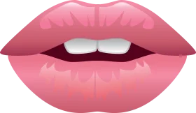 Soft Pink Sensual Lips Clipart Illustration with Subtle Shading and Texture