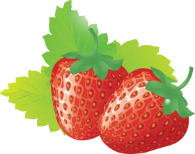 Fresh and Juicy Ripe Red Strawberries with Green Leaves Clipart Illustration
