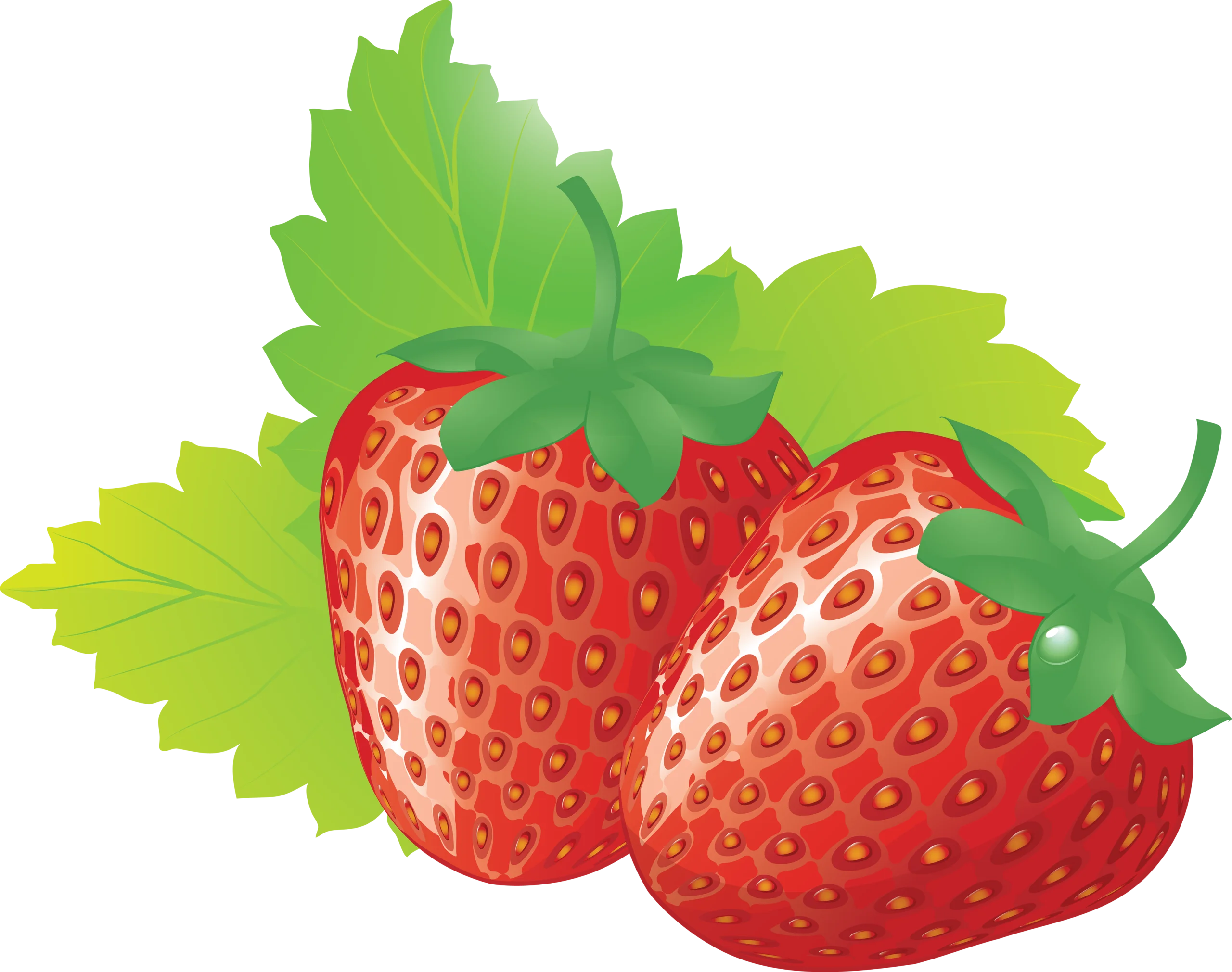 Fresh and Juicy Ripe Red Strawberries with Green Leaves Clipart Illustration