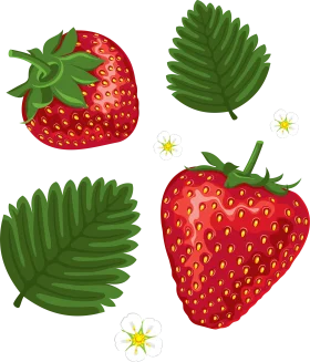 Fresh Strawberries and Leafy Green Ferns Botanical Clipart Collection
