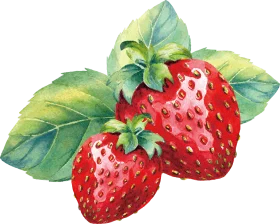 Luscious Red Strawberries Watercolor Clipart: Fresh Garden Delight