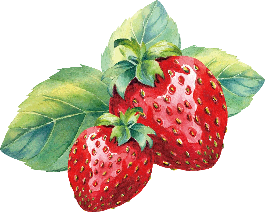 Luscious Red Strawberries Watercolor Clipart: Fresh Garden Delight