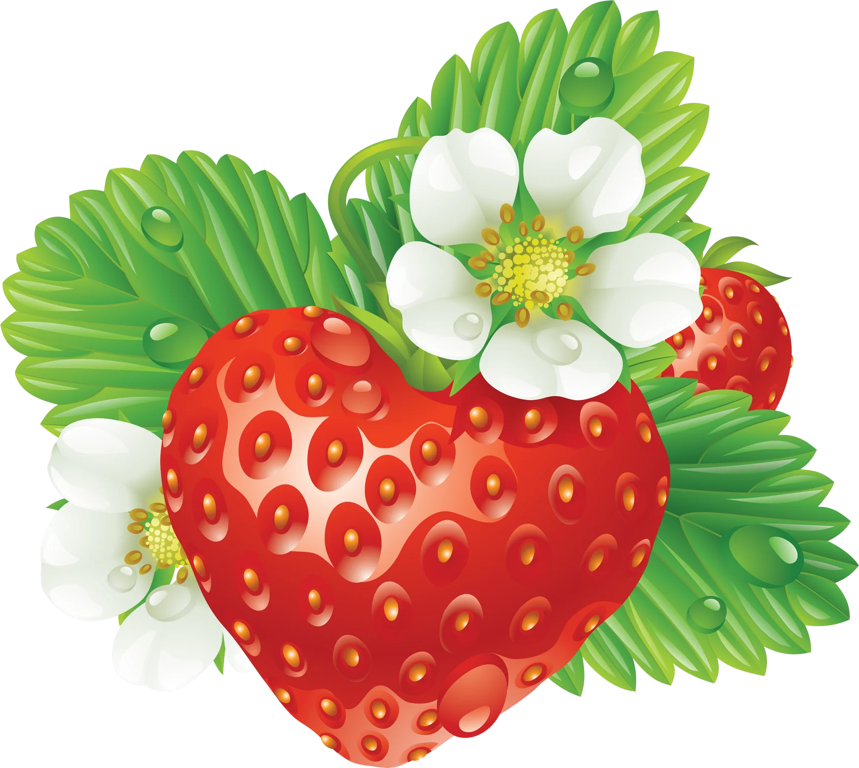 Luscious Ripe Strawberry Clipart with Delicate Blossoms and Green Leaves