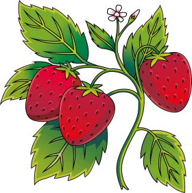 Luscious Strawberry Botanical Illustration Clipart with Delicate Blossoms