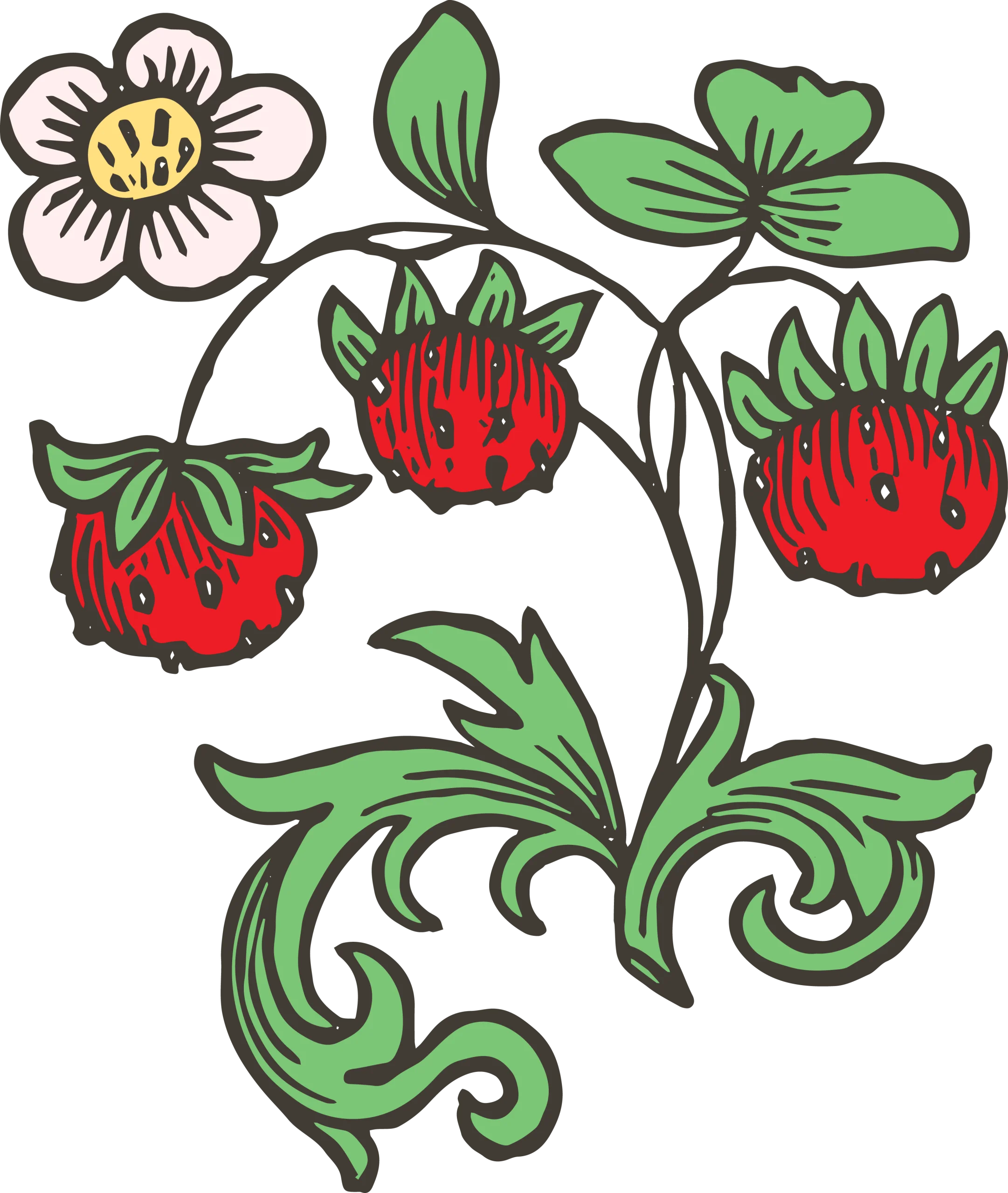 Whimsical Hand-Drawn Strawberry Garden Botanical Clipart Design