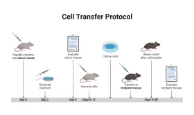 Comprehensive Cell Transfer Protocol Workflow Diagram Clipart Illustration