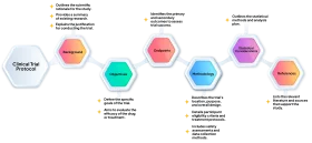 Interconnected Hexagonal Protocol Flow Diagram Transparent Clipart Design